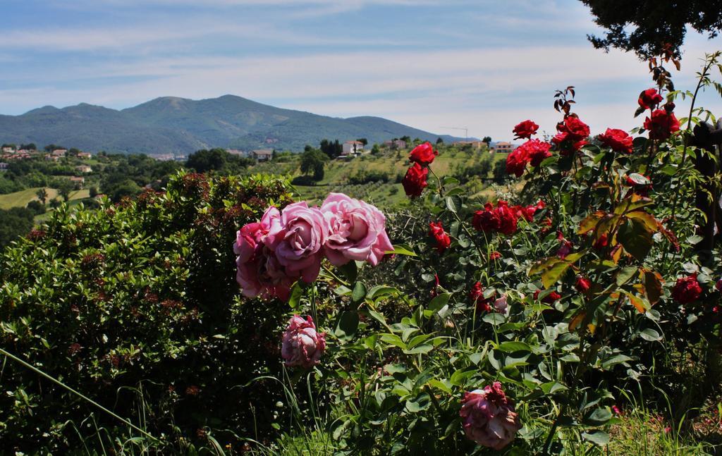 Le Storie Di Bambu Pension Terni Buitenkant foto