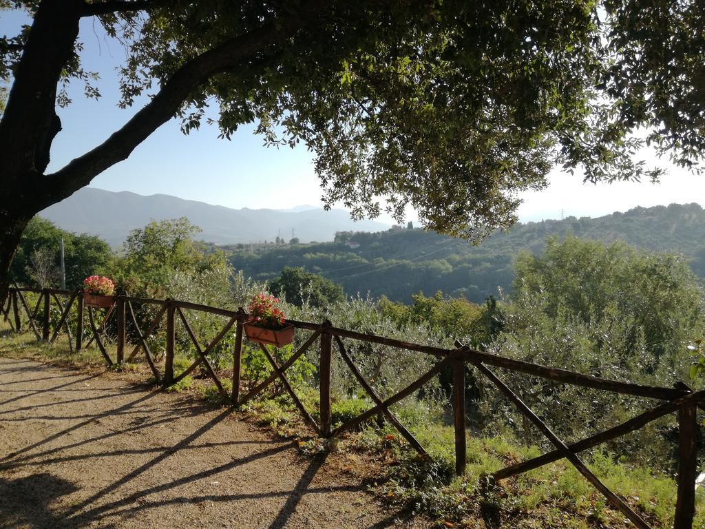 Le Storie Di Bambu Pension Terni Buitenkant foto